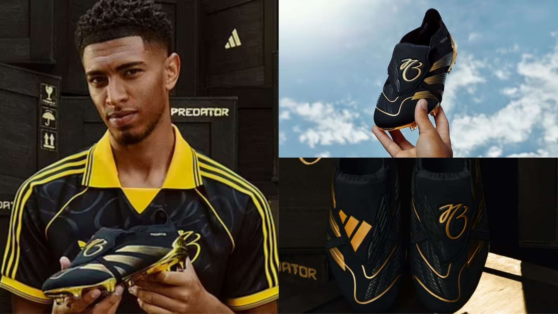 霍伊伦能够 霍伊伦能够